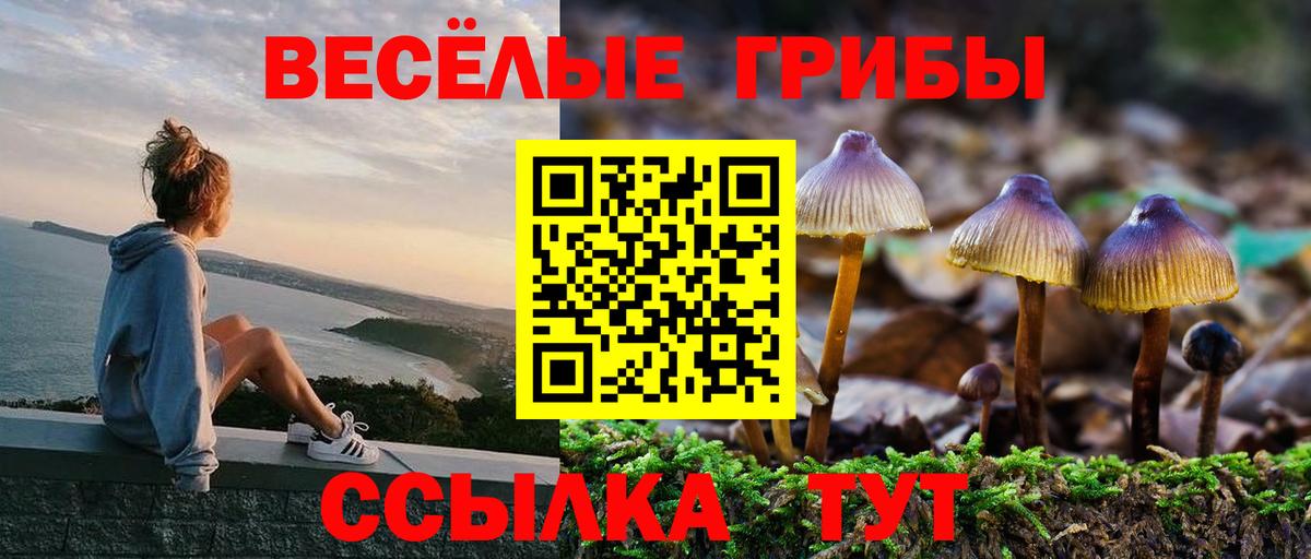 Галлюциногенные грибы Cubensis  Псилоцибиновые грибы GOLDEN TEACHER  Жигулёвск  сколько стоит  Вход с VPN 