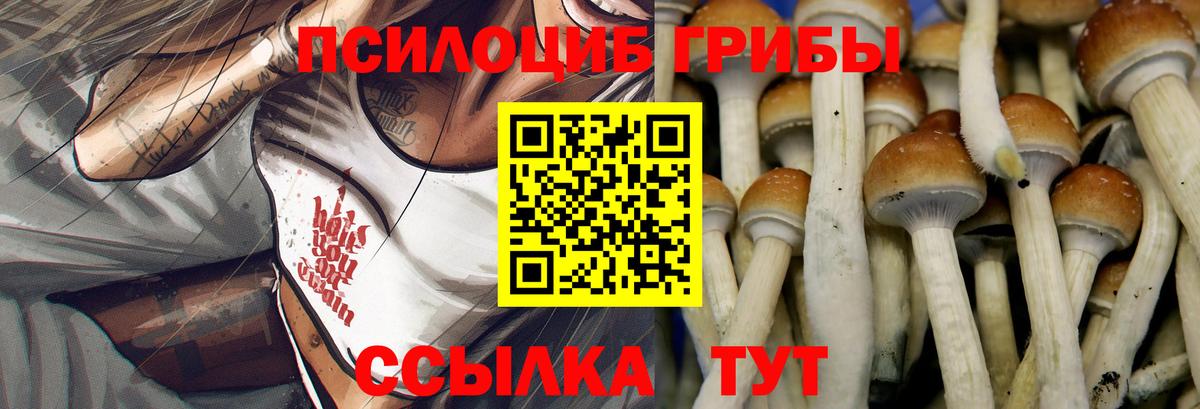 Галлюциногенные грибы мицелий Жигулёвск